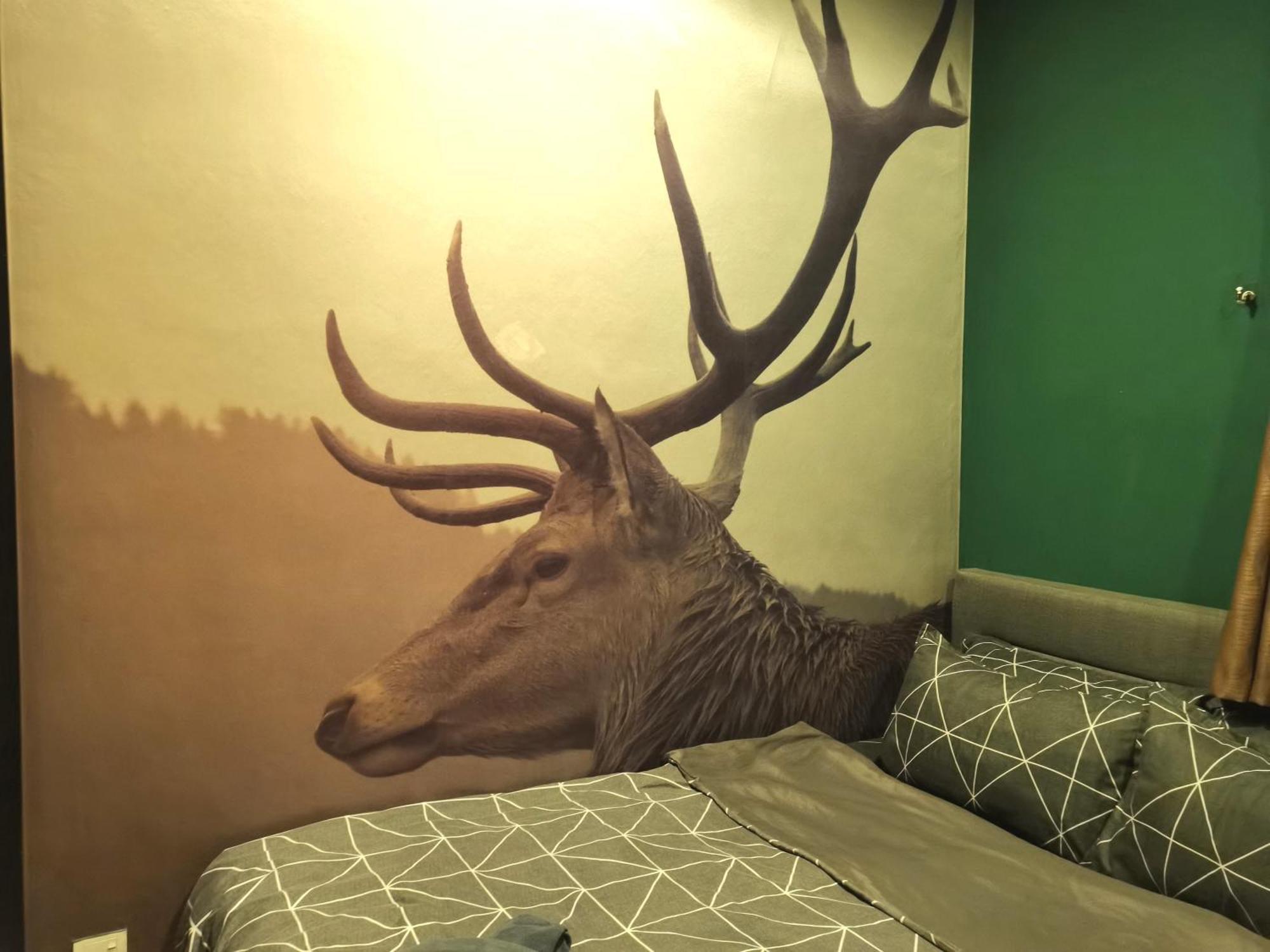Cozy Forest Themed Homestay 4 Bedroom Kuala Lumpur Extérieur photo
